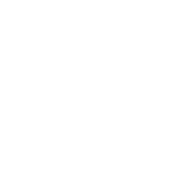 256x256 Free White Skip To Start Icon