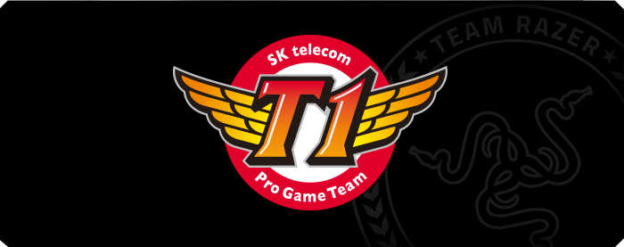 700x277 Skt Logos