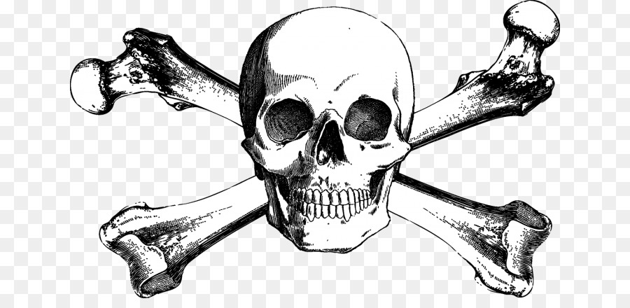 Skull And Crossbones Human Skull Symbolism Drawing Tattoo 900x440 Skull And Crossbones Human Skull Symbolism Drawing Tattoo