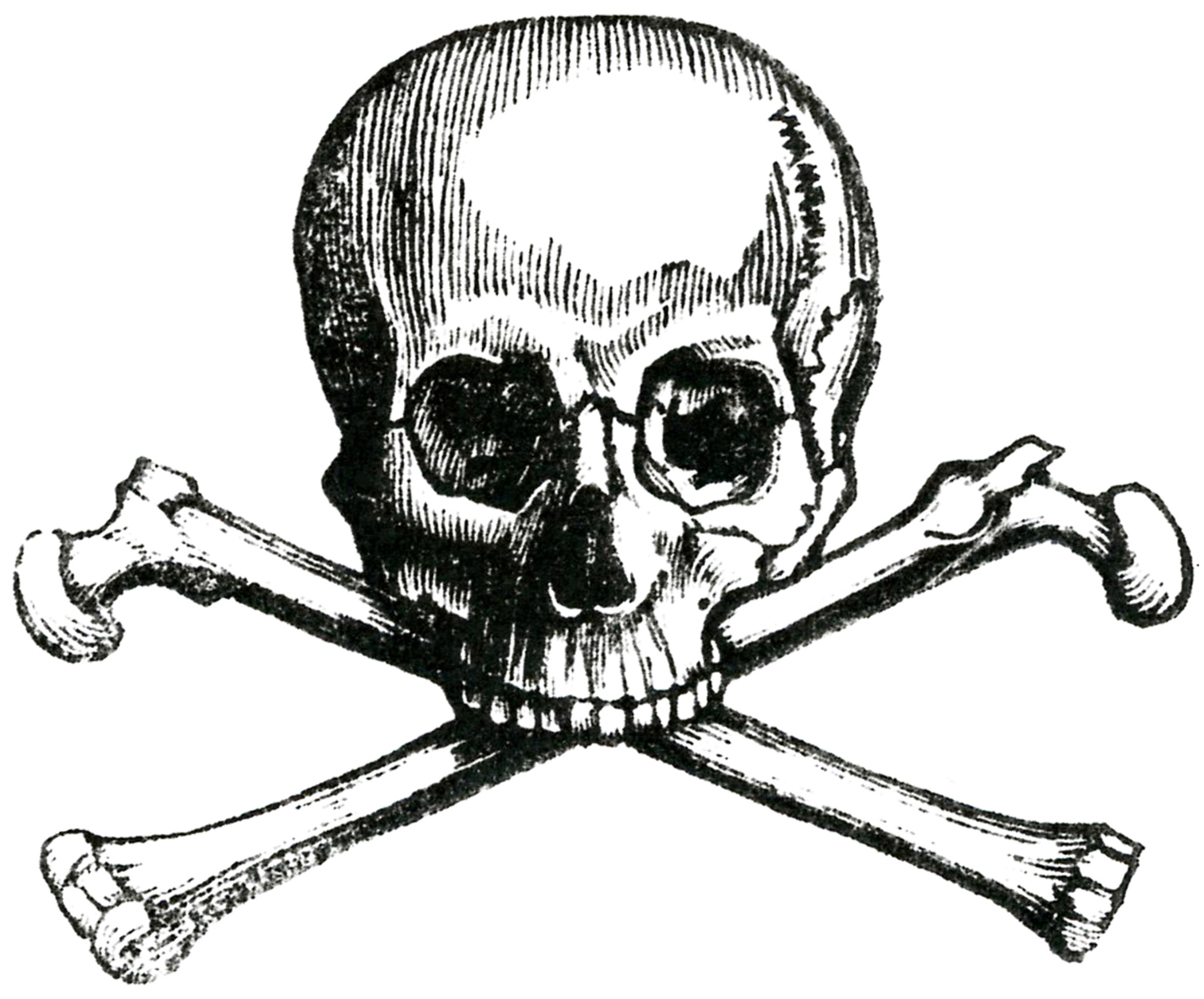 The Midnight Freemasons The Skull Crossbones And Freemasonry 1511x1253 The Midnight Freemasons The Skull Crossbones And Freemasonry