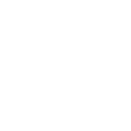 White Skull Icon 256x256 White Skull Icon