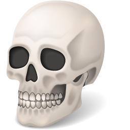 Body Skull Icon 256x256 Body Skull Icon