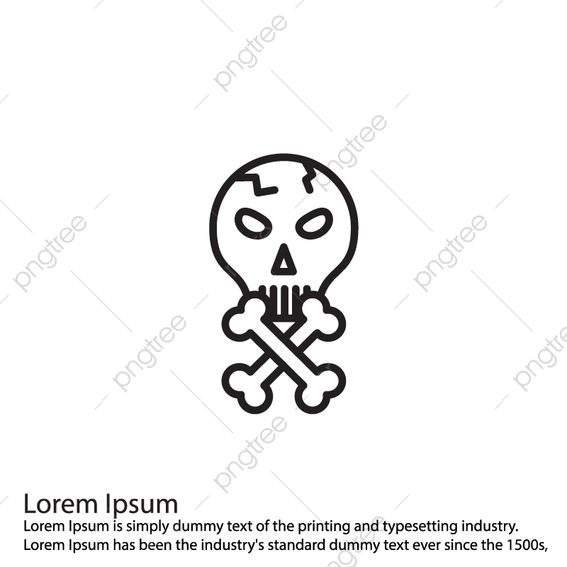 800x800 Vector Skull Icon, Skull, Bones, Danger Png And Vector