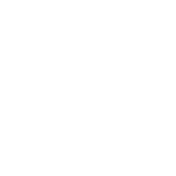 256x256 White Skull Icon