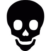 Skull Png Icon 170x170 Skull Png Icon