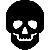 Skull Png Icon 170x170 Skull Png Icon