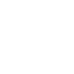 256x256 White Skydiving Icon