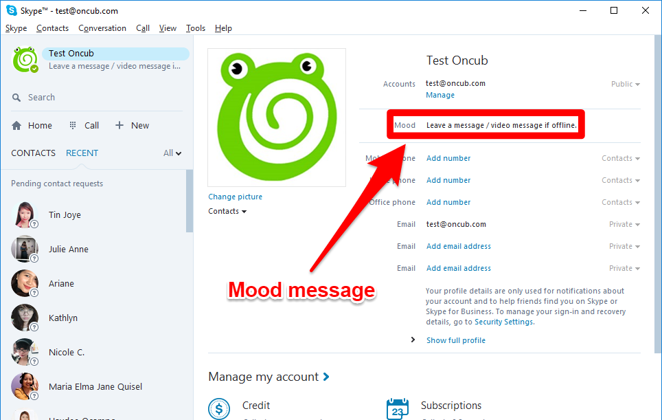 964x611 Skype Status And Mood Message Oncub Support