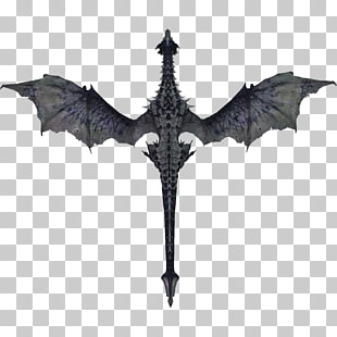 Skyrim Dragon Icon
