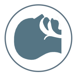 250x250 Sleep Apnea In Manlius, Ny I Revercomb Dental Group