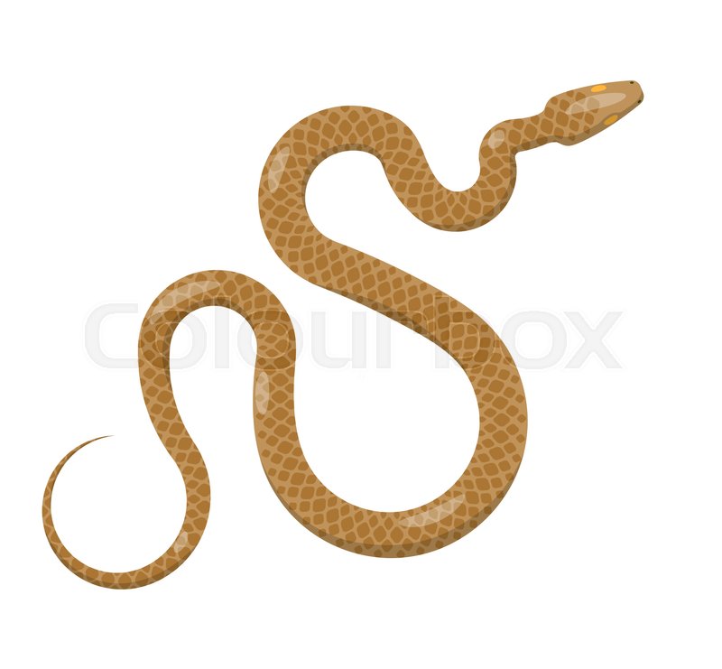 800x741 Curved Slither Python Top View Icon Stock Vector Colourbox