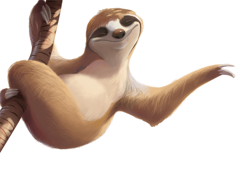 800x600 Sloth Icon