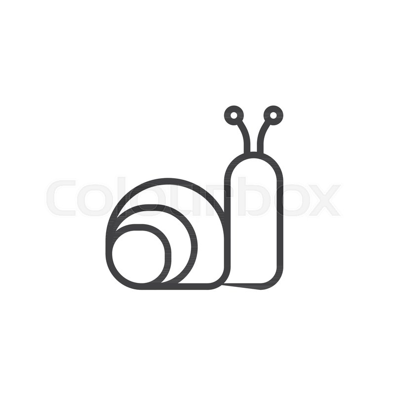 800x800 Snail Animal Line Icon, Outline Vector Stock Vector Colourbox