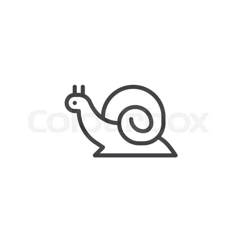 800x800 Snail Outline Icon Linear Style Sign Stock Vector Colourbox