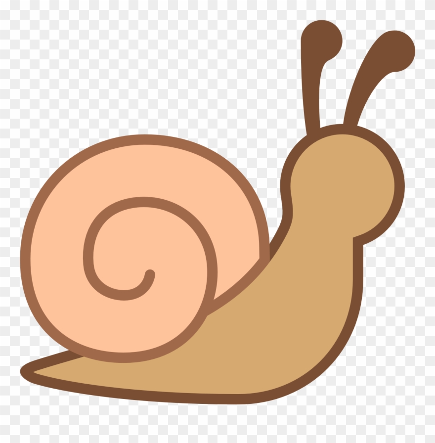 880x896 This Is An Eyeless Image Of A Snail