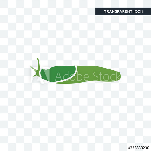 500x500 Slug Vector Icon Isolated On Transparent Background, Slug Logo