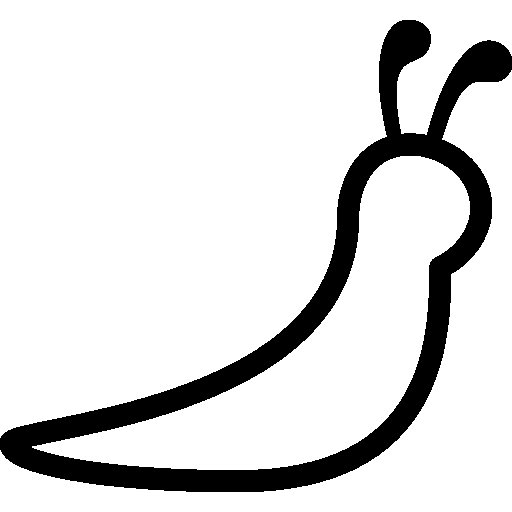 512x512 Animals Slug Icon Ios Iconset