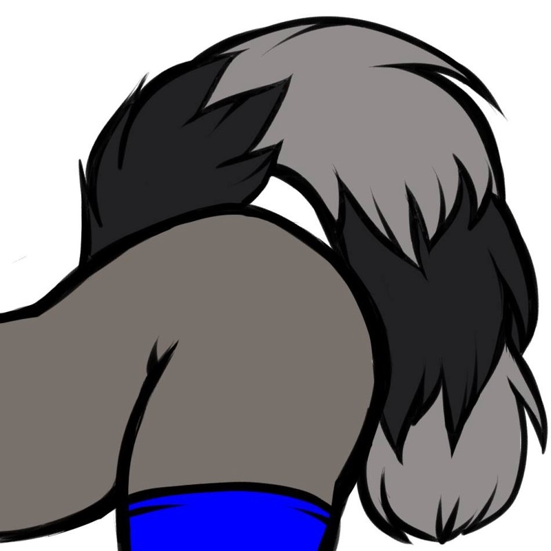 800x800 Sly Cooper Booty Icon