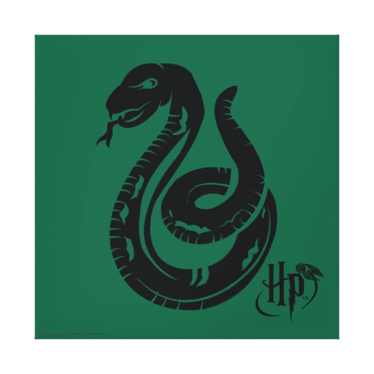 540x540 Harry Potter Slytherin Snake Icon Canvas Print