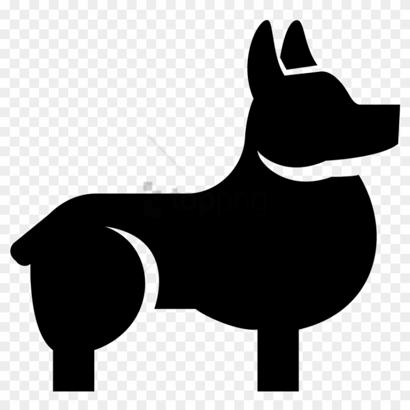 840x840 Free Png There Is A Small Dog Standing With It's Head