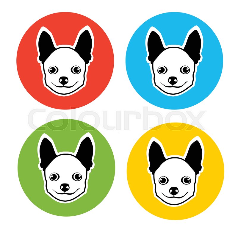 800x800 Small Dog Animal Pet Web Icon Stock Vector Colourbox