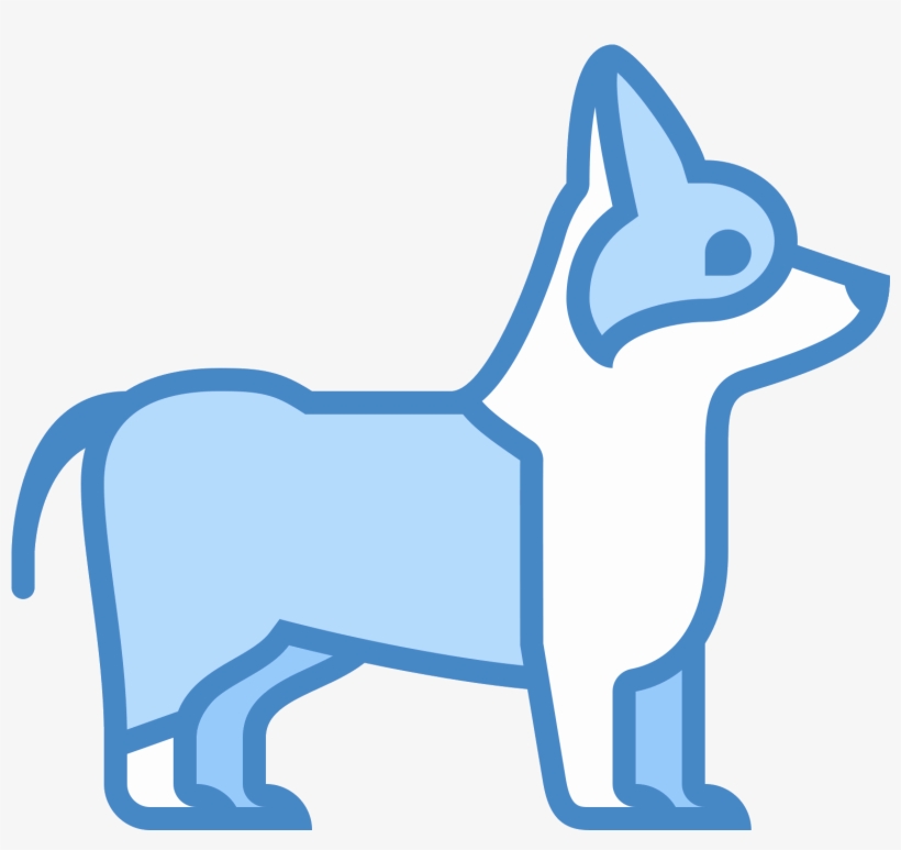 820x773 There Is A Small Dog Standing With It's Head Up