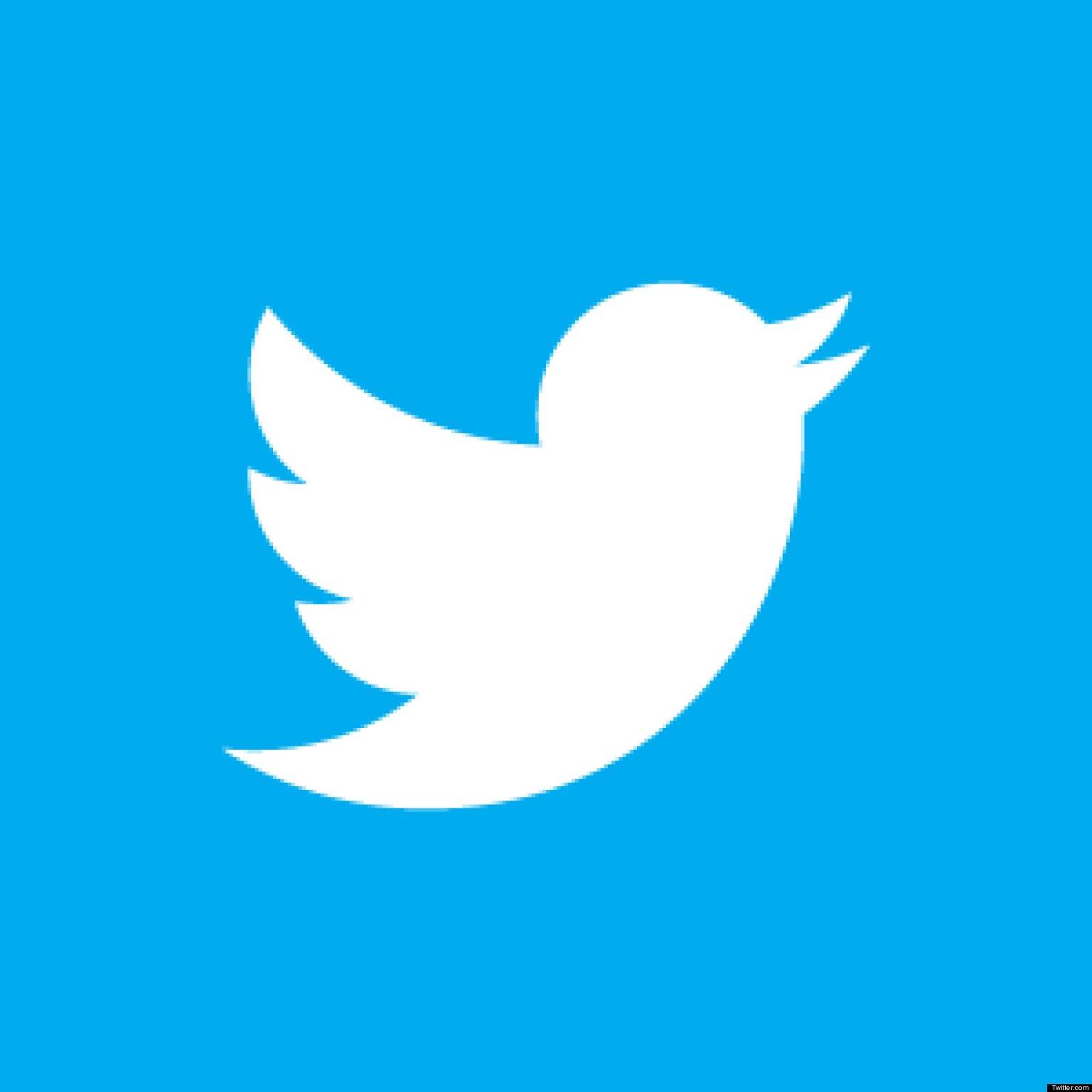 Twitter's Verified Accounts With The Lowest Number Of Followers 1536x1536 Twitter's Verified Accounts With The Lowest Number Of Followers