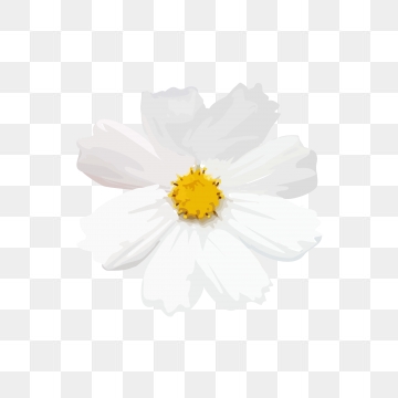 360x360 Small Flowers Png Images Vector And Free Download