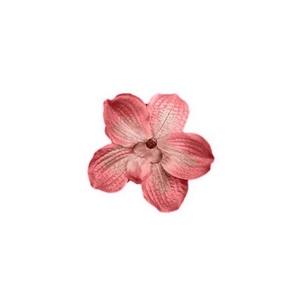 600x600 Jaelyn's Edits