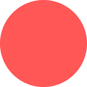 300x300 Red Icon Small Clip Art