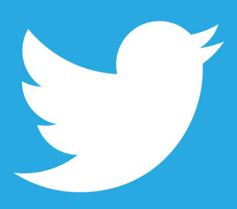 340x300 Simple Steps To Become A Twitter Pro