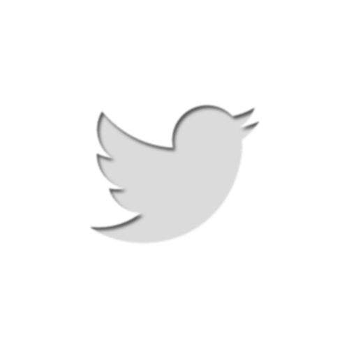 500x500 Small Twitter Logo