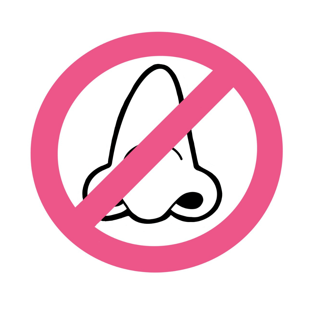 1080x1080 The Girl Who Cant Smell Official Anosmia Blog