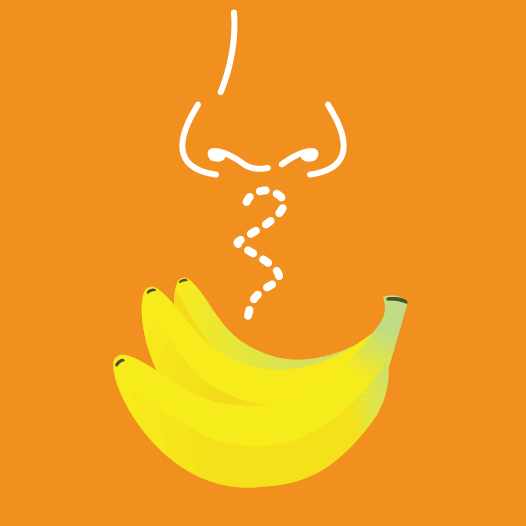 526x526 Eau That Smell