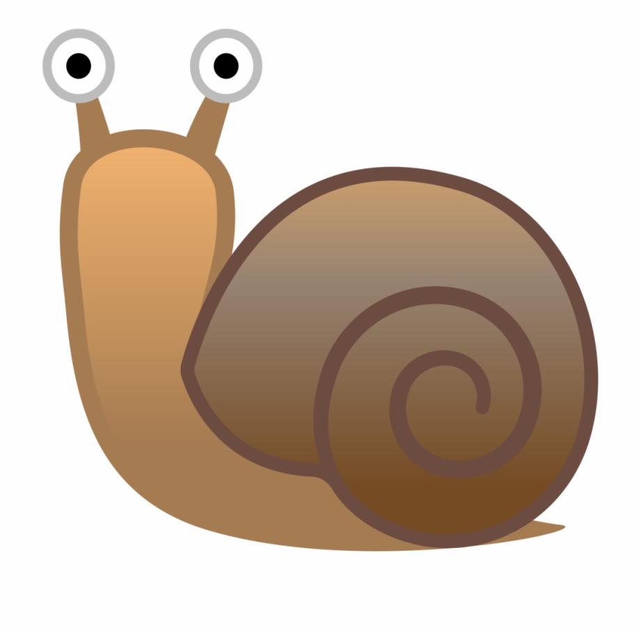920x905 Snail Icon Free Png Images Clipart Download