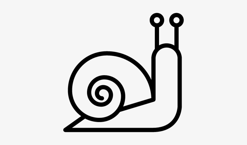 820x480 Snail Vector