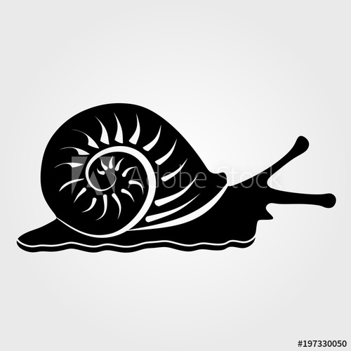 500x500 Snail Icon Isolated On White Background