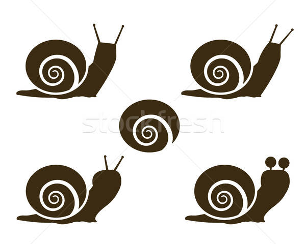 600x480 Set Of Snail Icon And Signs Vector Illustration Chatree