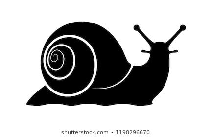 433x280 Sign Snail Snail Symbol Isolated Black Silhouette Snail On White