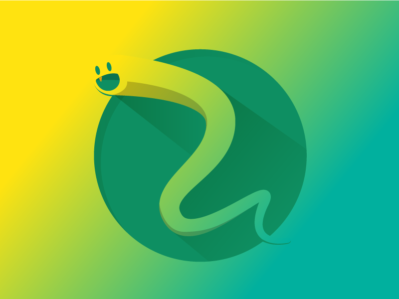800x600 Snakeio Icon