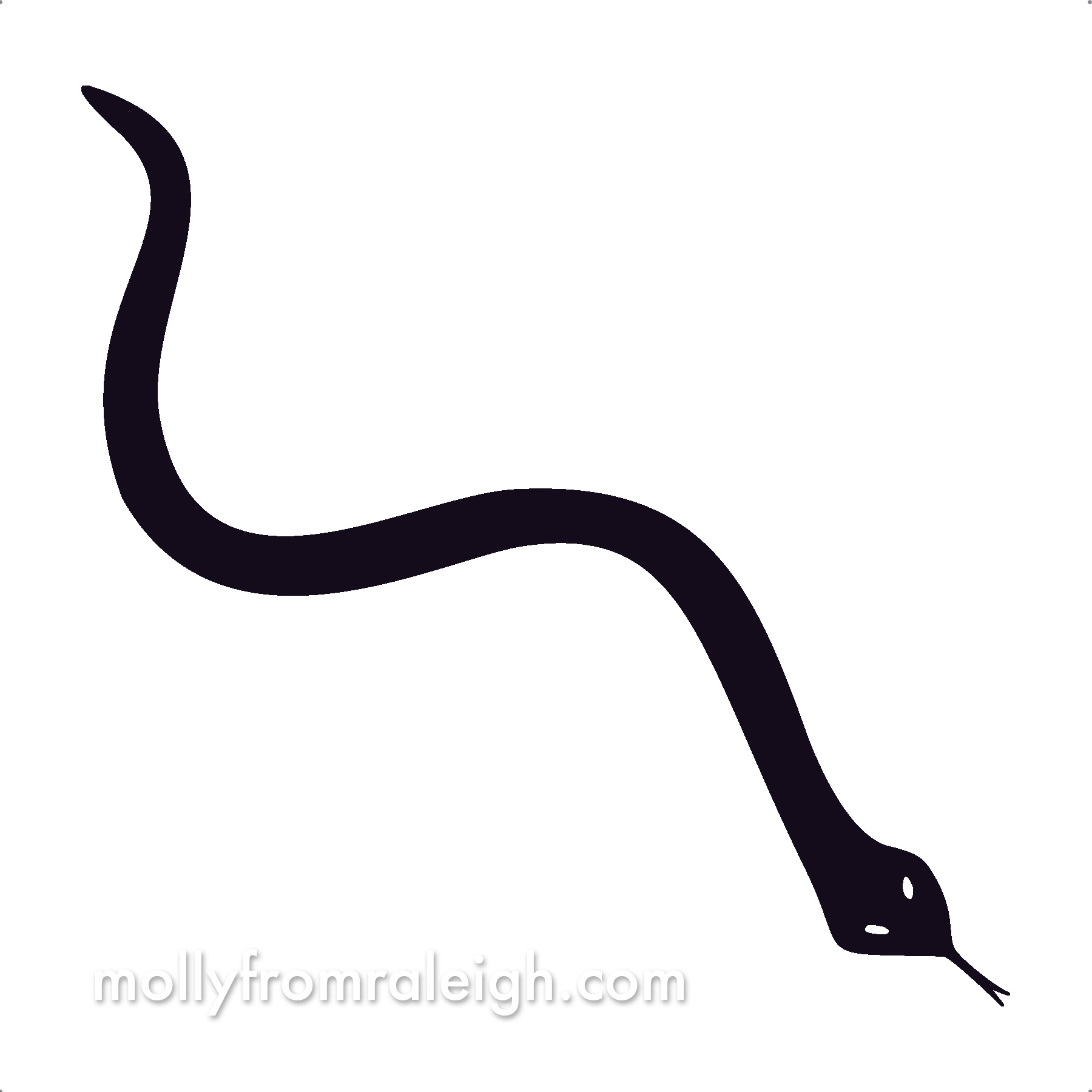 1800x1800 Snake Icon Molly From Raleigh