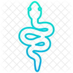 256x256 Snake Icon Of Gradient Style