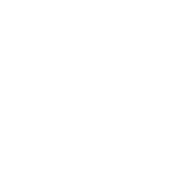 256x256 White Snapchat Icon