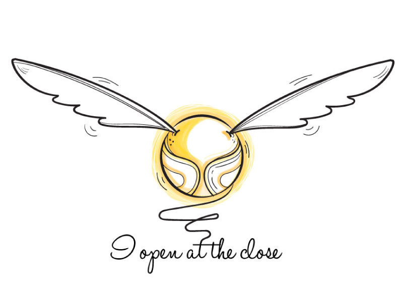 800x600 The Golden Snitch