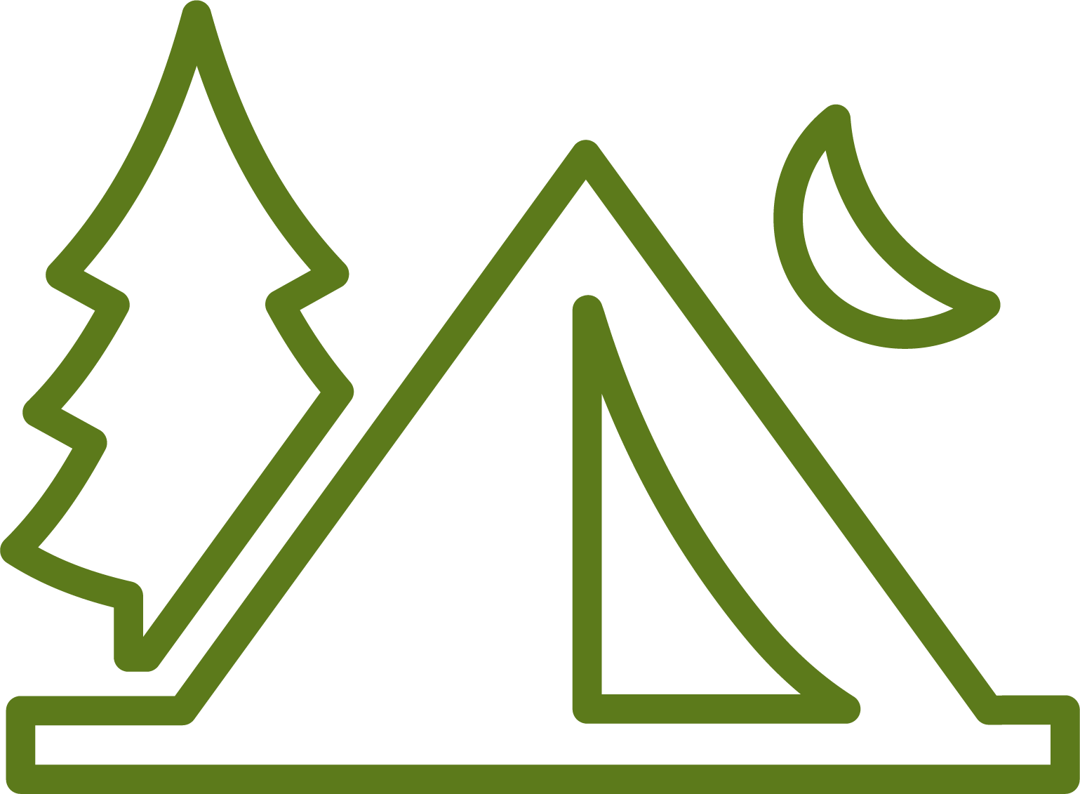 1539x1131 Zoo Snooze Sleepover