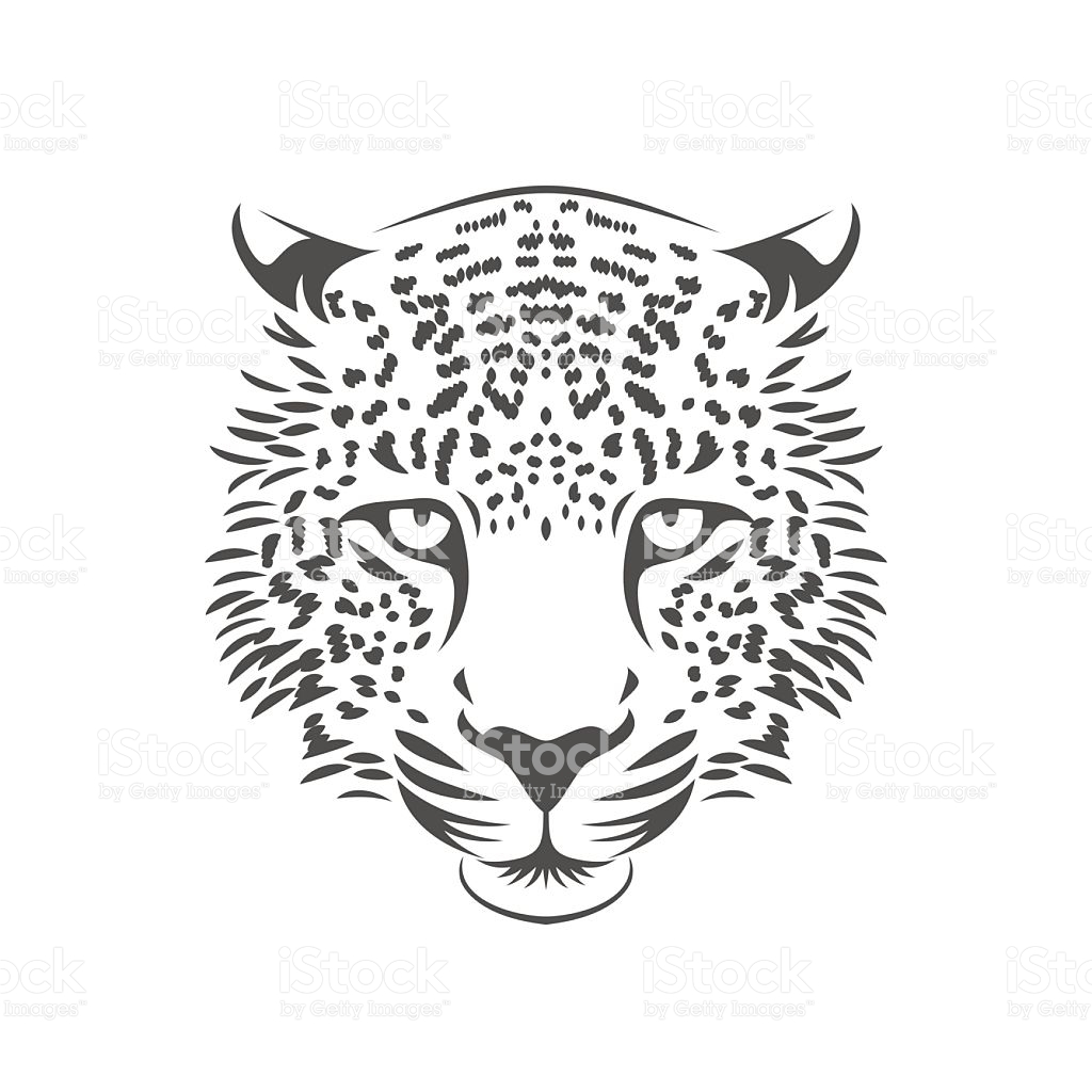 1024x1024 Leopard Icon
