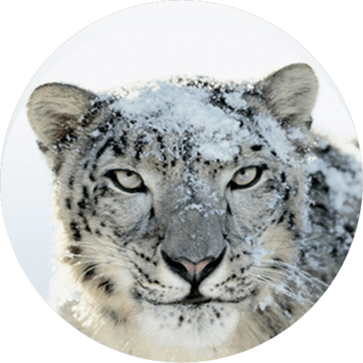 512x512 Os X Snow Leopard Direct Download Hackintosh Mumbai