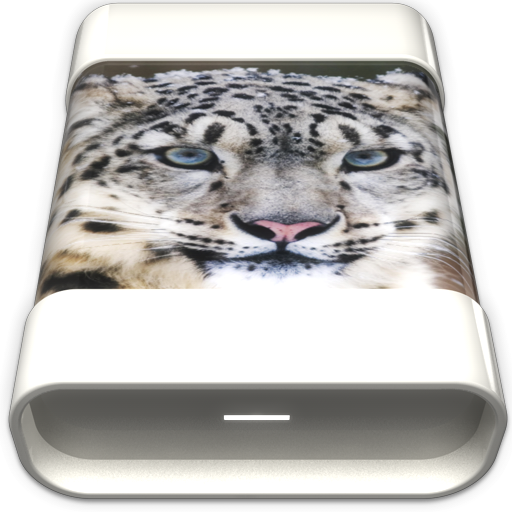 512x512 Cats Hd Snowleopard Icon