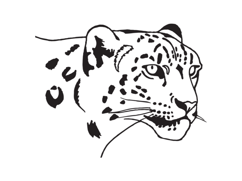 800x600 Europe's Big Snow Leopard Country In Autumn