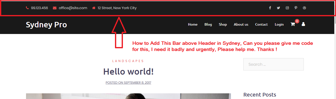 1356x402 How To Add Address And Social Media Icon Bar Above Header